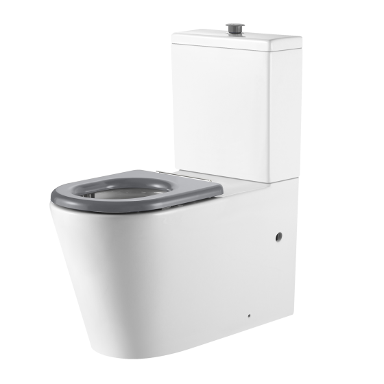 Vienna Back To Wall Care Toilet Suite With Grey Seat and Buttons